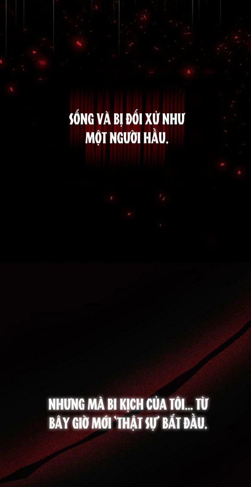 Hôn Phu Của Tôi Là Nam Chính Yandere: Chapter 1