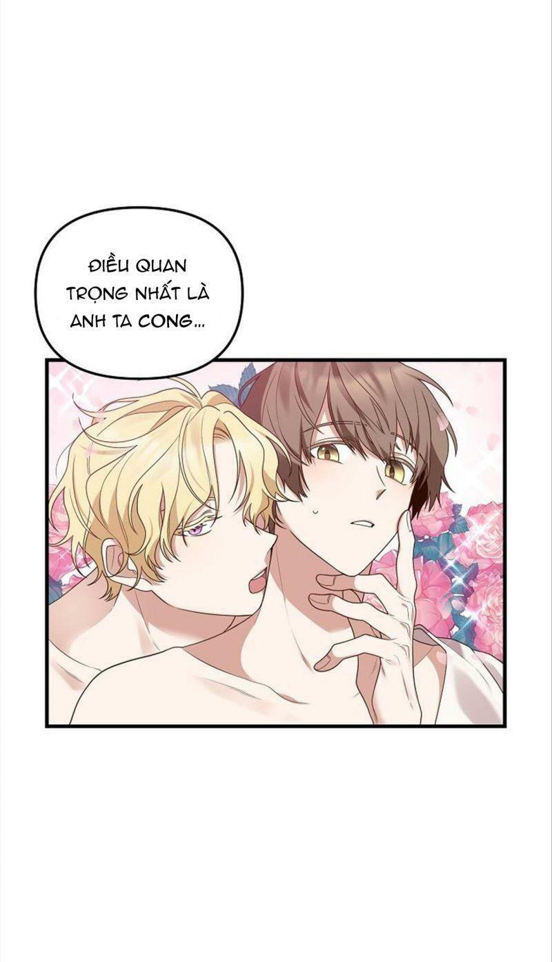 Hôn Phu Của Tôi Là Nam Chính Yandere: Chapter 1