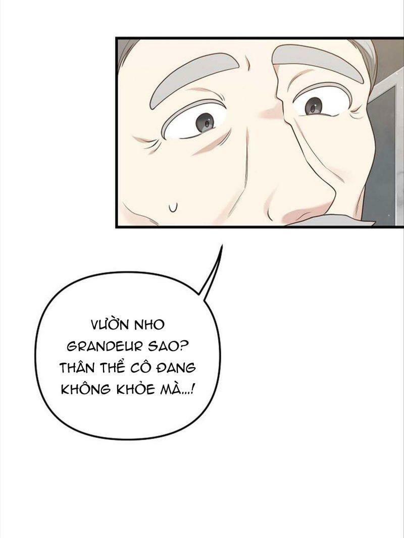 Hôn Phu Của Tôi Là Nam Chính Yandere: Chapter 11