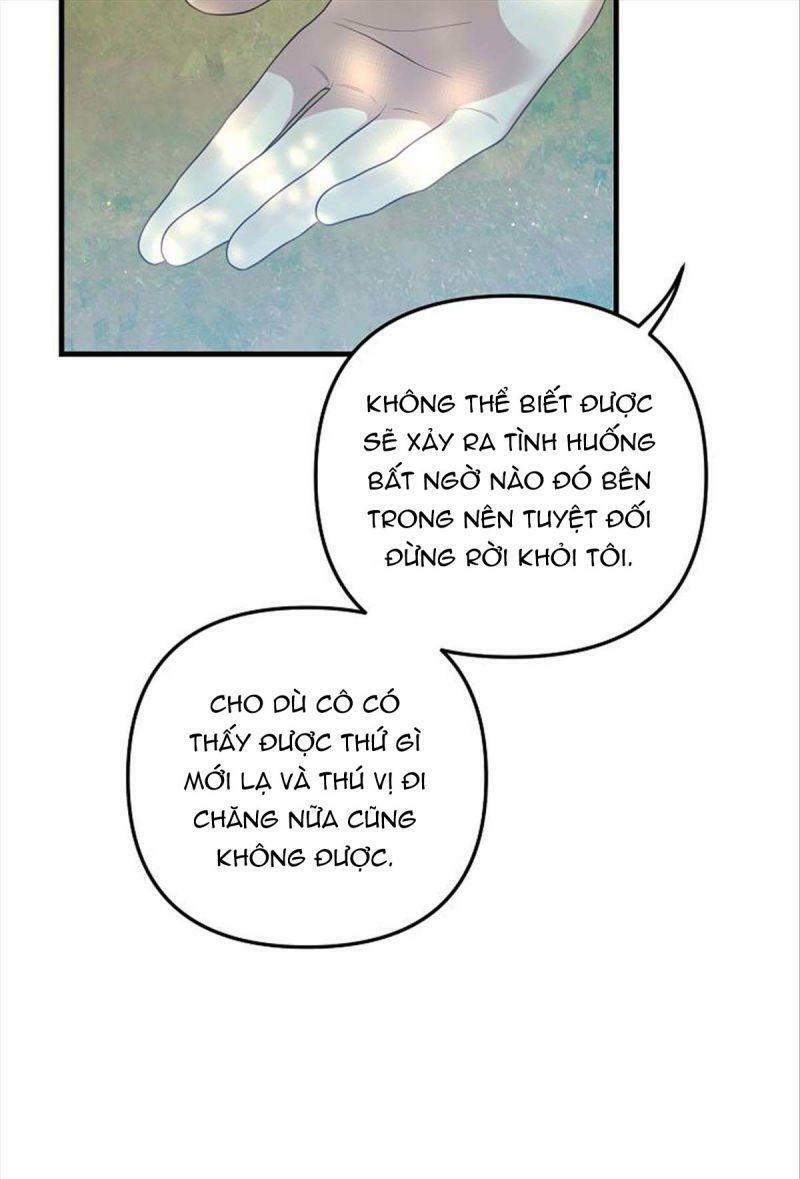 Hôn Phu Của Tôi Là Nam Chính Yandere: Chapter 13