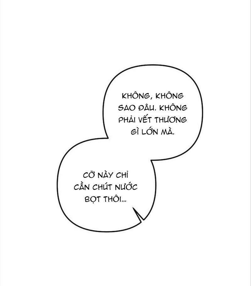 Hôn Phu Của Tôi Là Nam Chính Yandere: Chapter 13