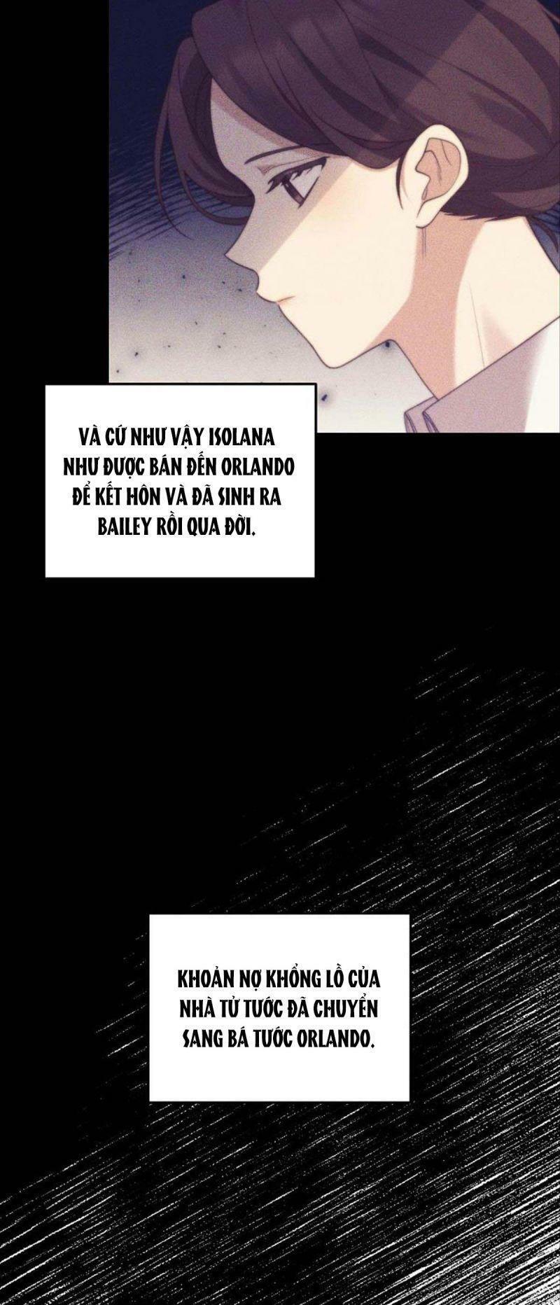 Hôn Phu Của Tôi Là Nam Chính Yandere: Chapter 19