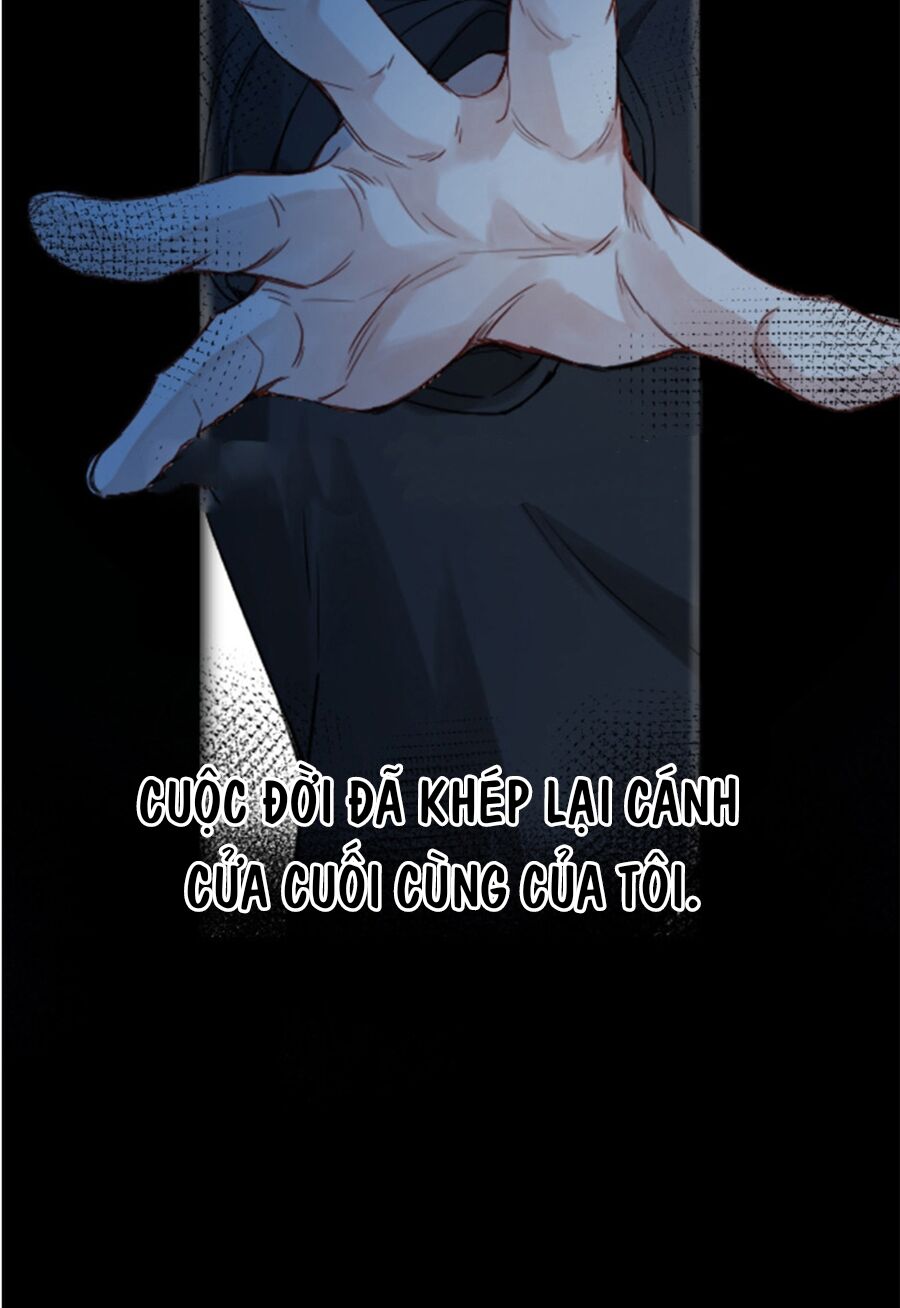 Tâm Động Thuấn Di: Chapter 31