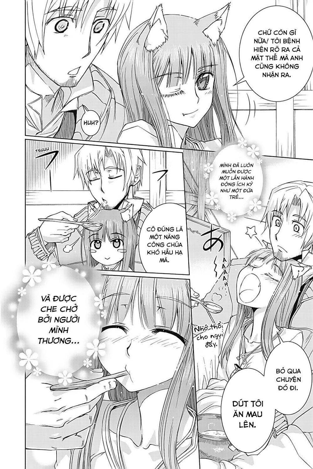Ookami to Koushinryou: Chapter 36.5