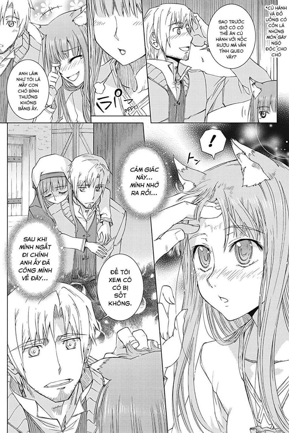 Ookami to Koushinryou: Chapter 35.5