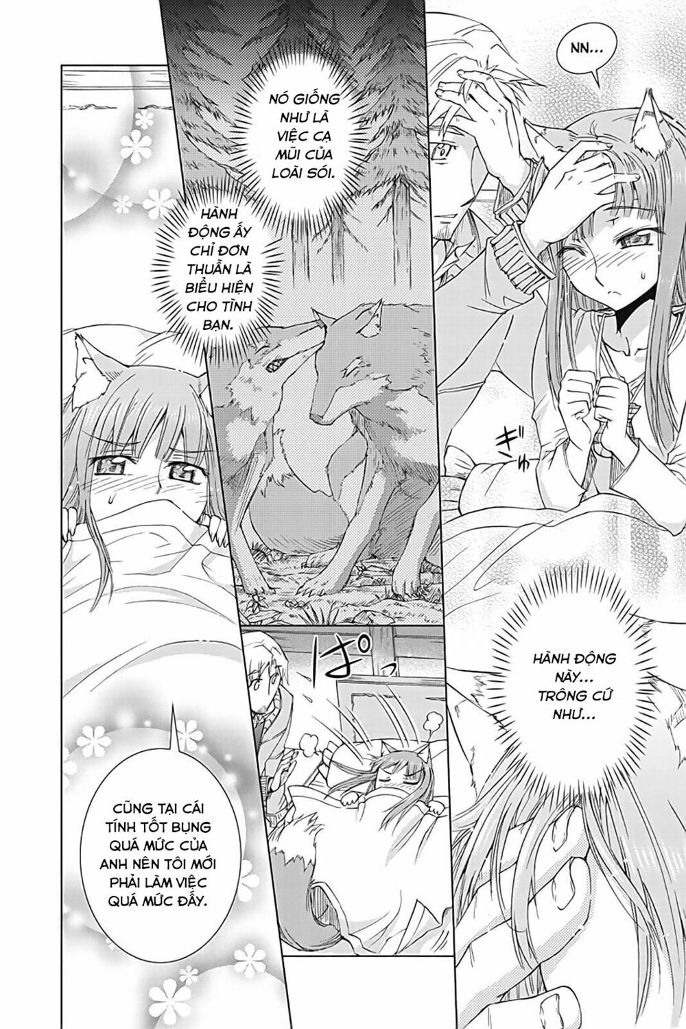 Ookami to Koushinryou: Chapter 35.5