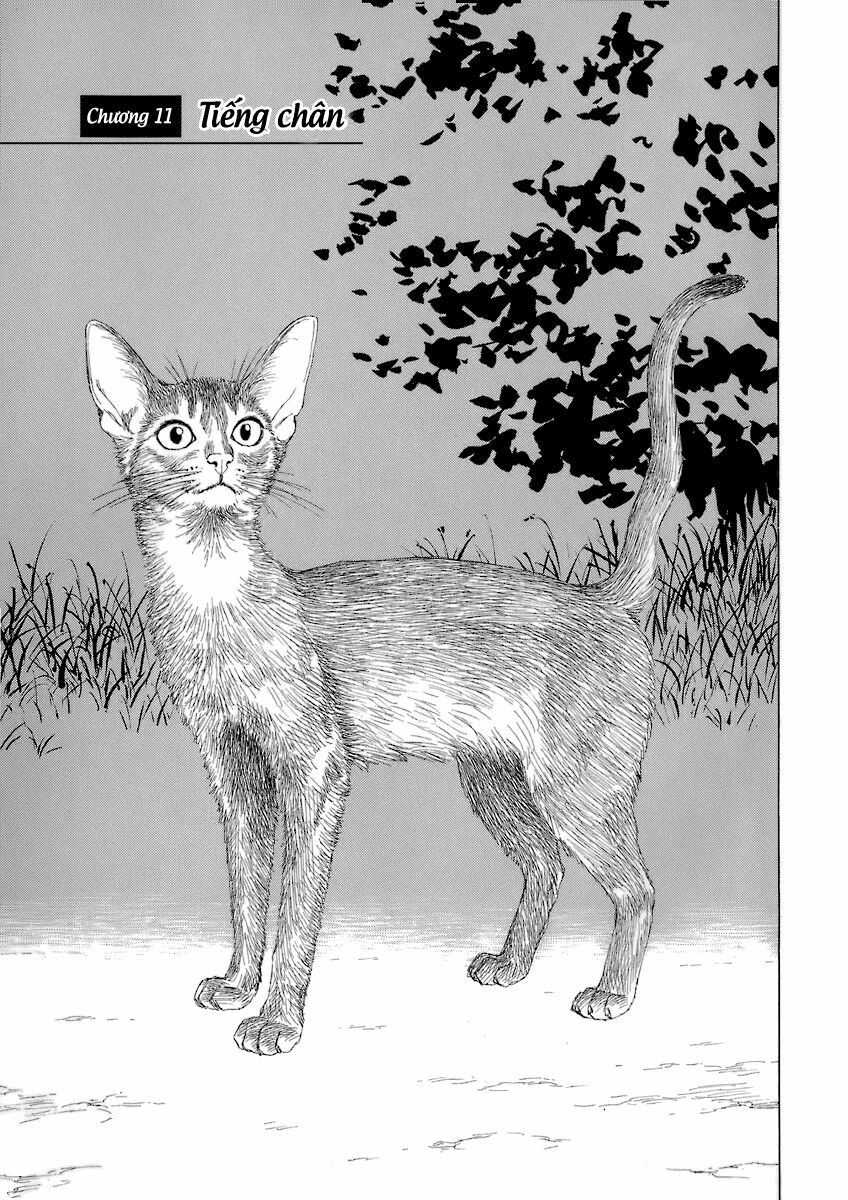 Thư Ký của Alexandros Đại đế: Chapter 11