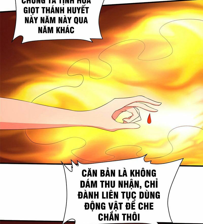 Tọa Ủng Tinh Cầu: Chapter 10