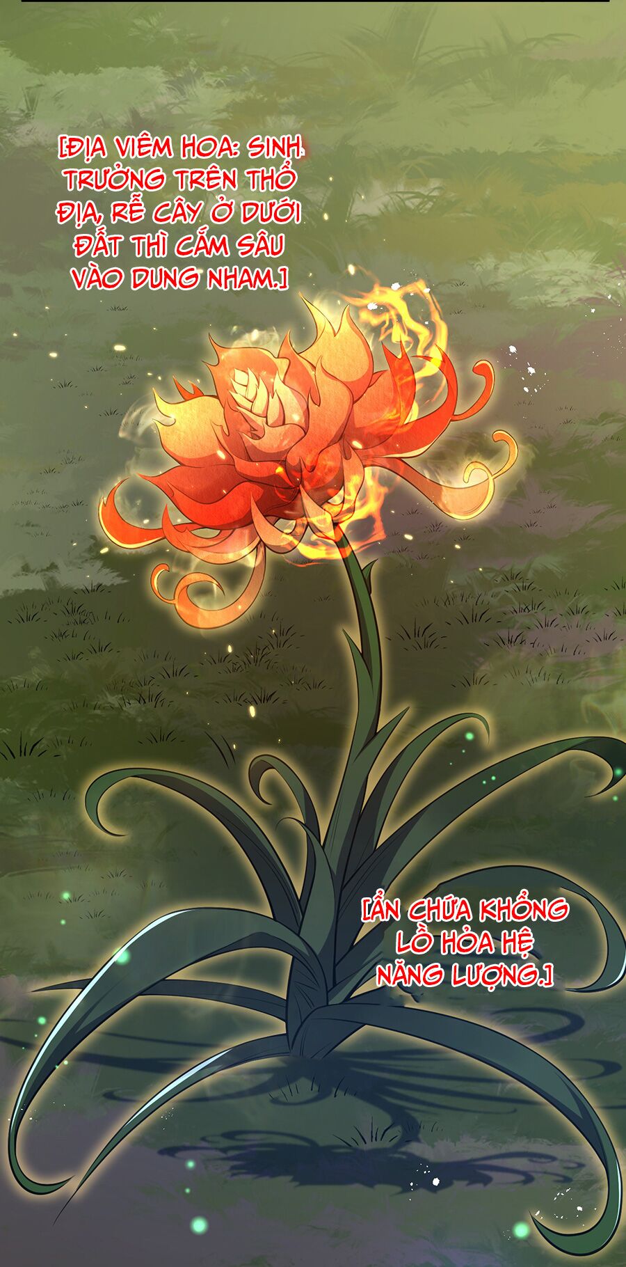 Hệ thống mô phỏng linh sủng: Chapter 13