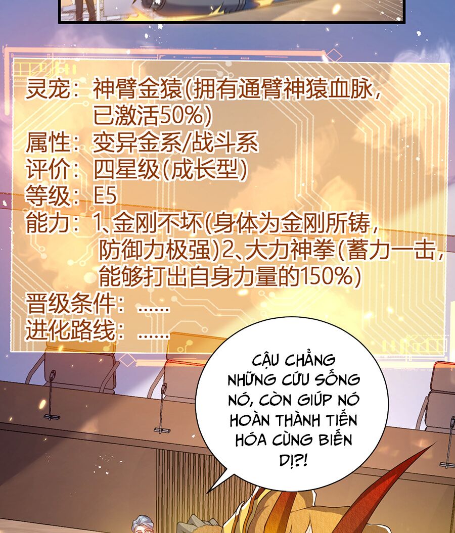 Hệ thống mô phỏng linh sủng: Chapter 21