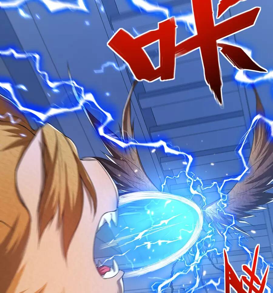 Hệ thống mô phỏng linh sủng: Chapter 25