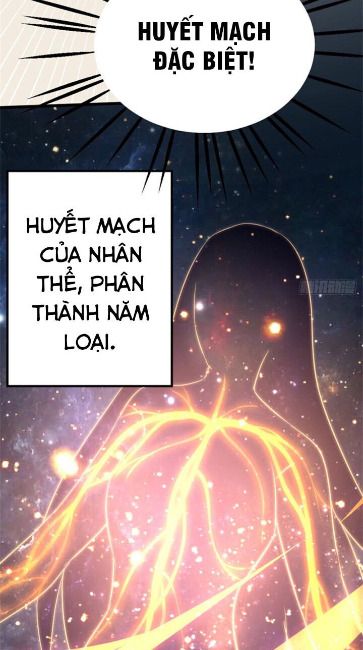 Vạn Đạo Long Hoàng: Chapter 15