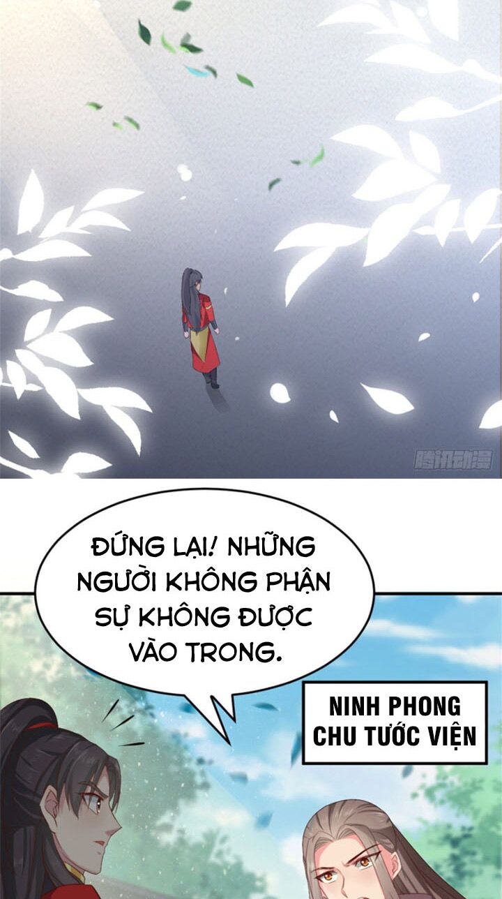 Vạn Đạo Long Hoàng: Chapter 15