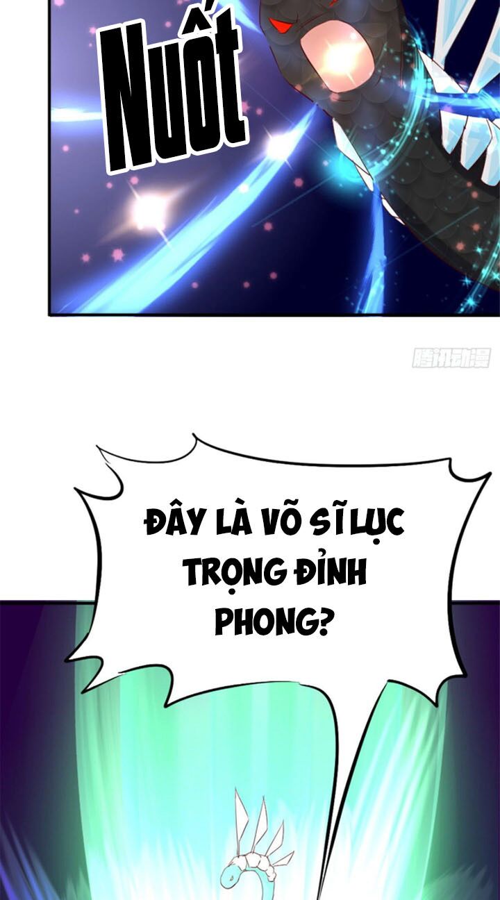 Vạn Đạo Long Hoàng: Chapter 19