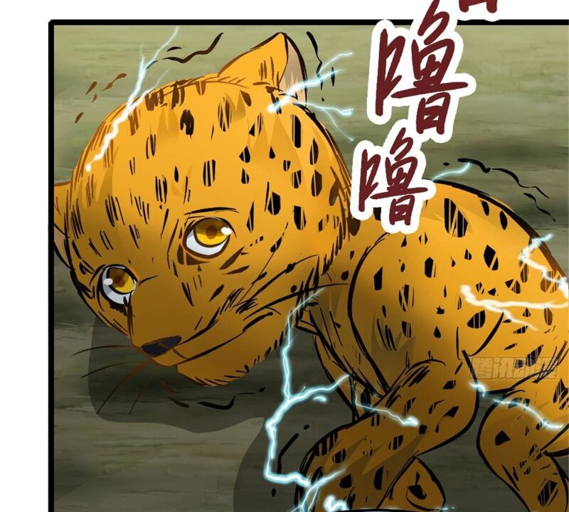 Vạn Đạo Long Hoàng: Chapter 22