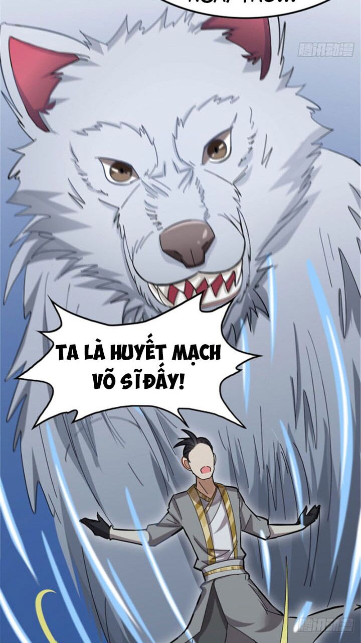 Vạn Đạo Long Hoàng: Chapter 5