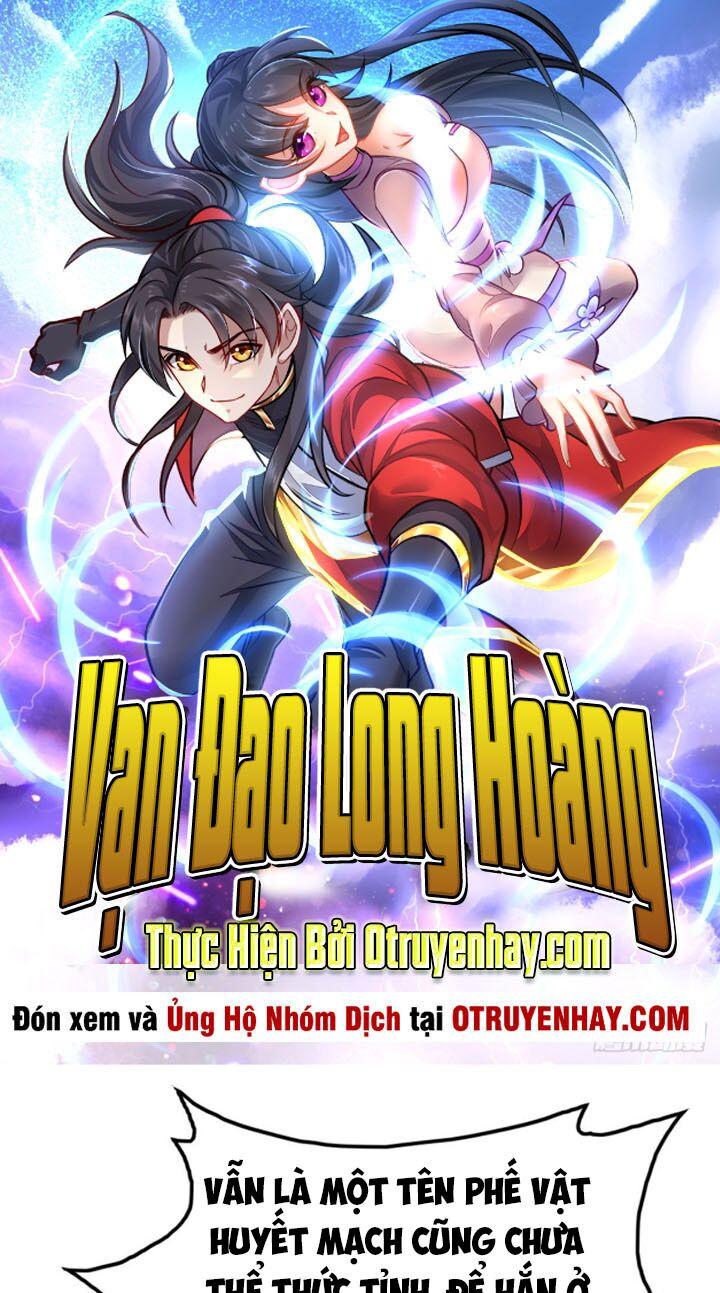 Vạn Đạo Long Hoàng: Chapter 8