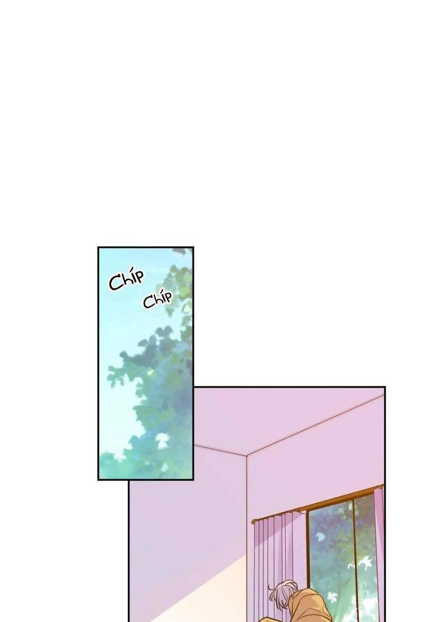 Nhật Ký Nấm Ma Cô: Chapter 1