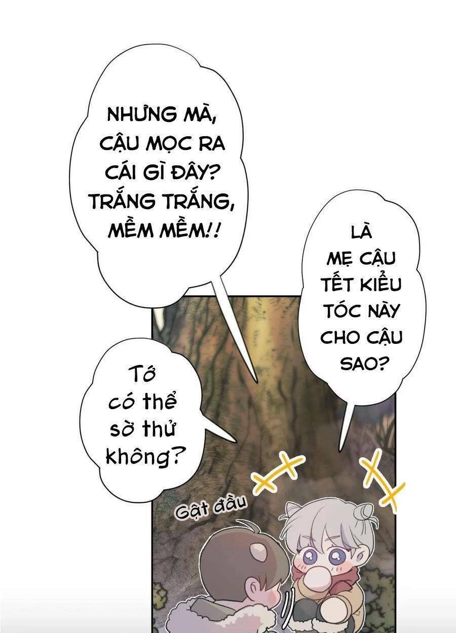 Nhật Ký Nấm Ma Cô: Chapter 1