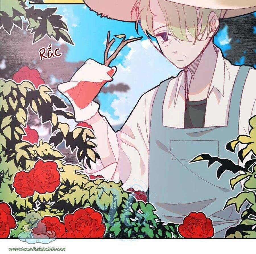 Nhật Ký Nấm Ma Cô: Chapter 10