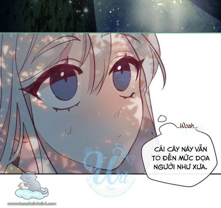 Nhật Ký Nấm Ma Cô: Chapter 10