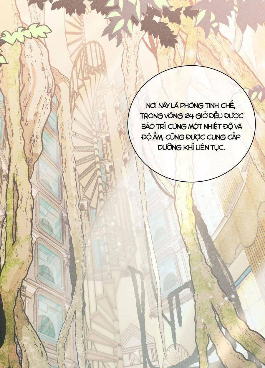 Nhật Ký Nấm Ma Cô: Chapter 11