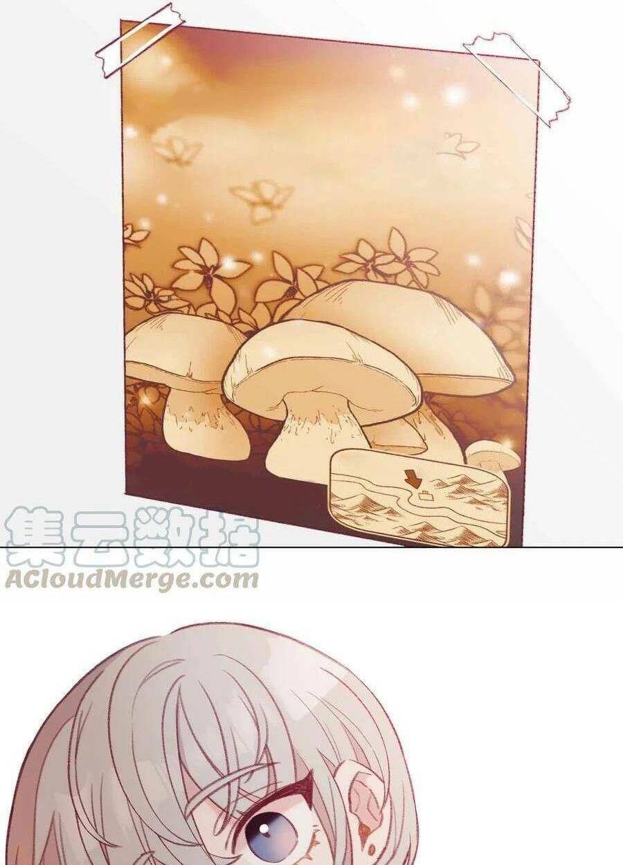 Nhật Ký Nấm Ma Cô: Chapter 23