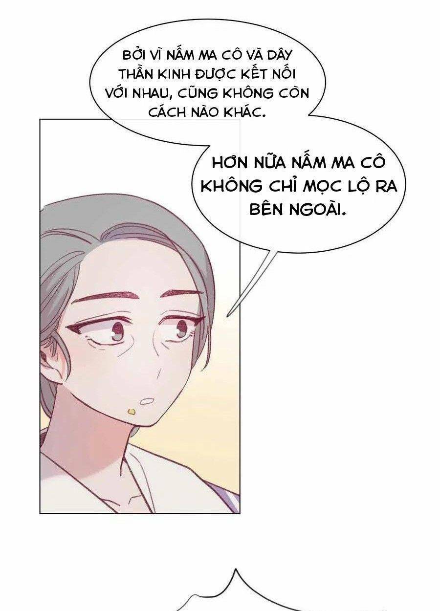 Nhật Ký Nấm Ma Cô: Chapter 23