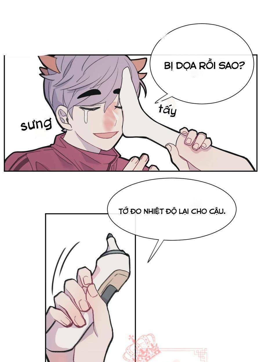 Nhật Ký Nấm Ma Cô: Chapter 3