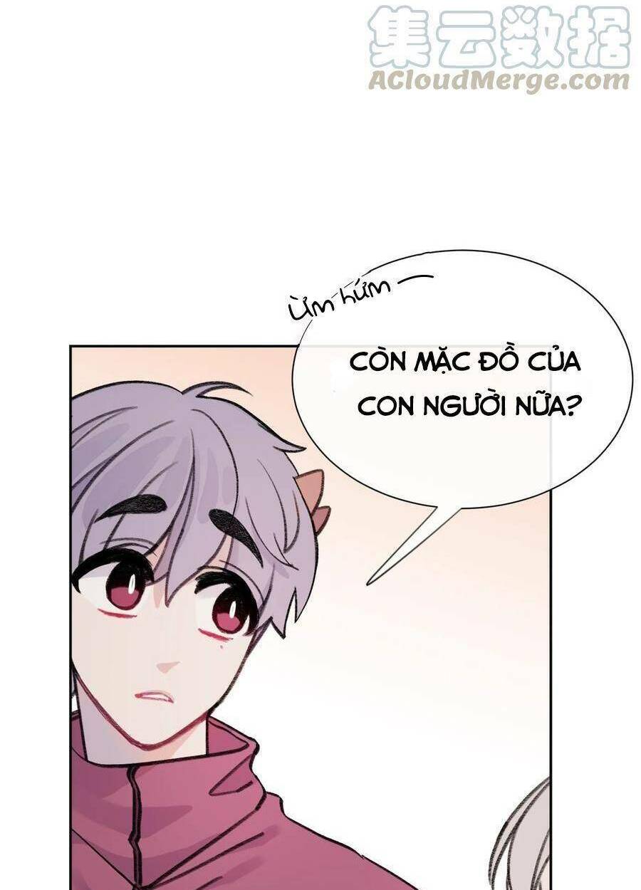 Nhật Ký Nấm Ma Cô: Chapter 4