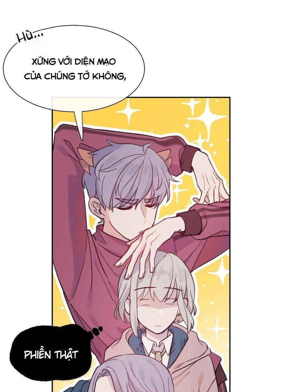 Nhật Ký Nấm Ma Cô: Chapter 4
