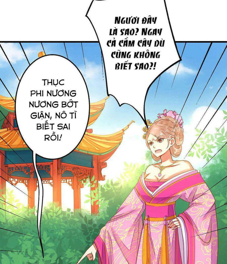 Quý Phi Này Có Chút Cơ: Chapter 6