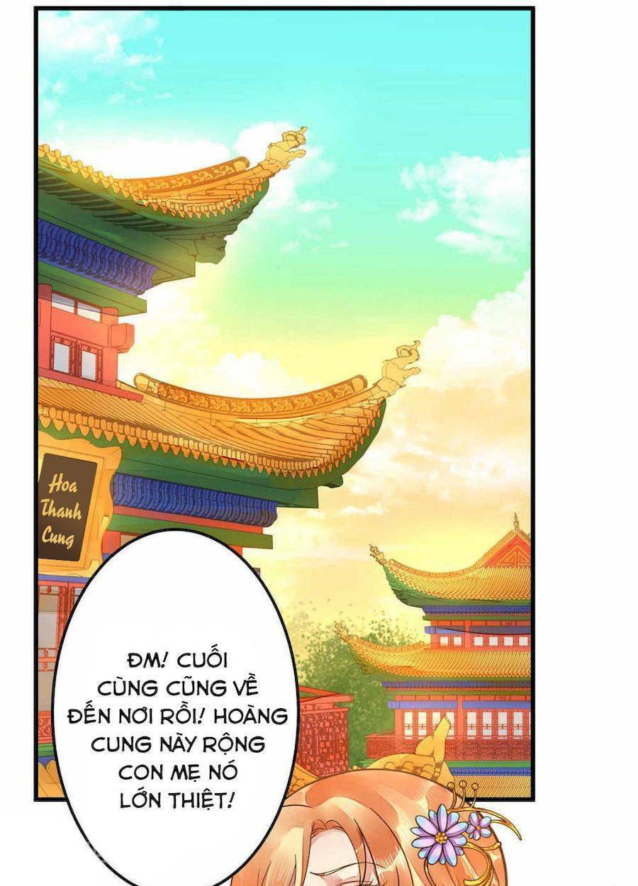 Quý Phi Này Có Chút Cơ: Chapter 8