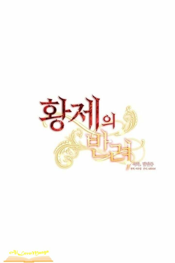 Cộng Tác của Hoàng Đế: Chapter 49