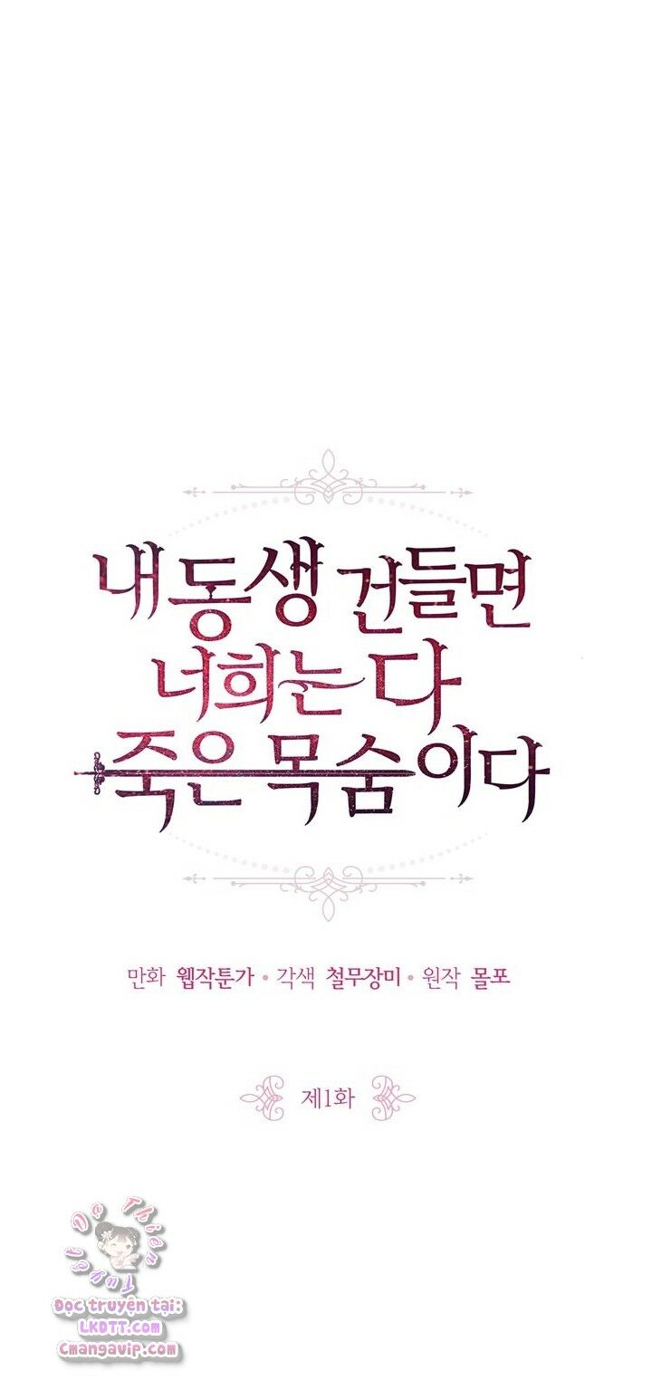 Đừng Đụng Vào Em Trai Ta: Chapter 1
