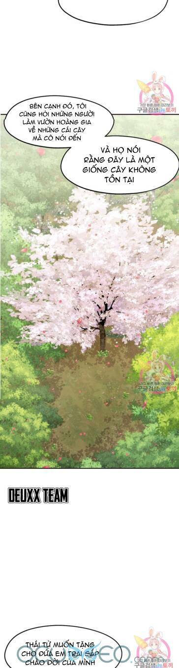 Xin Chào, Tôi Là Người Làm Vườn!: Chapter 7