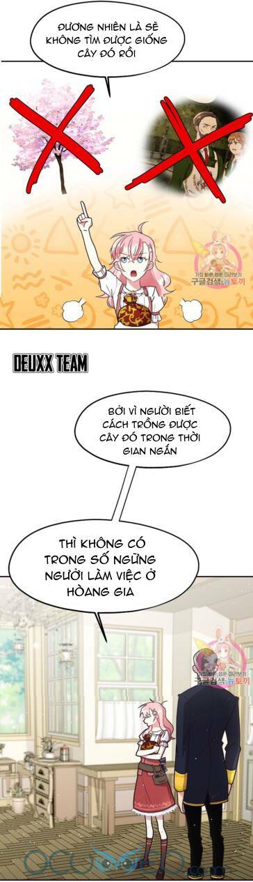 Xin Chào, Tôi Là Người Làm Vườn!: Chapter 7