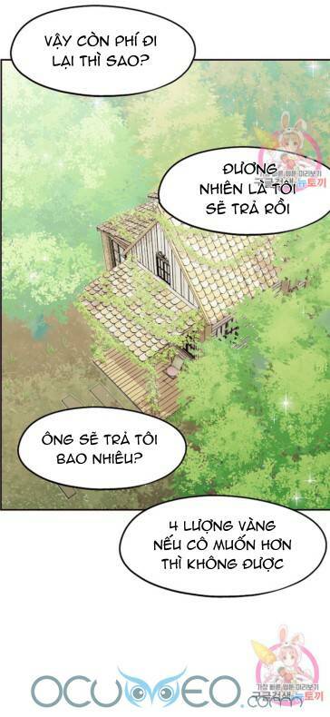 Xin Chào, Tôi Là Người Làm Vườn!: Chapter 7