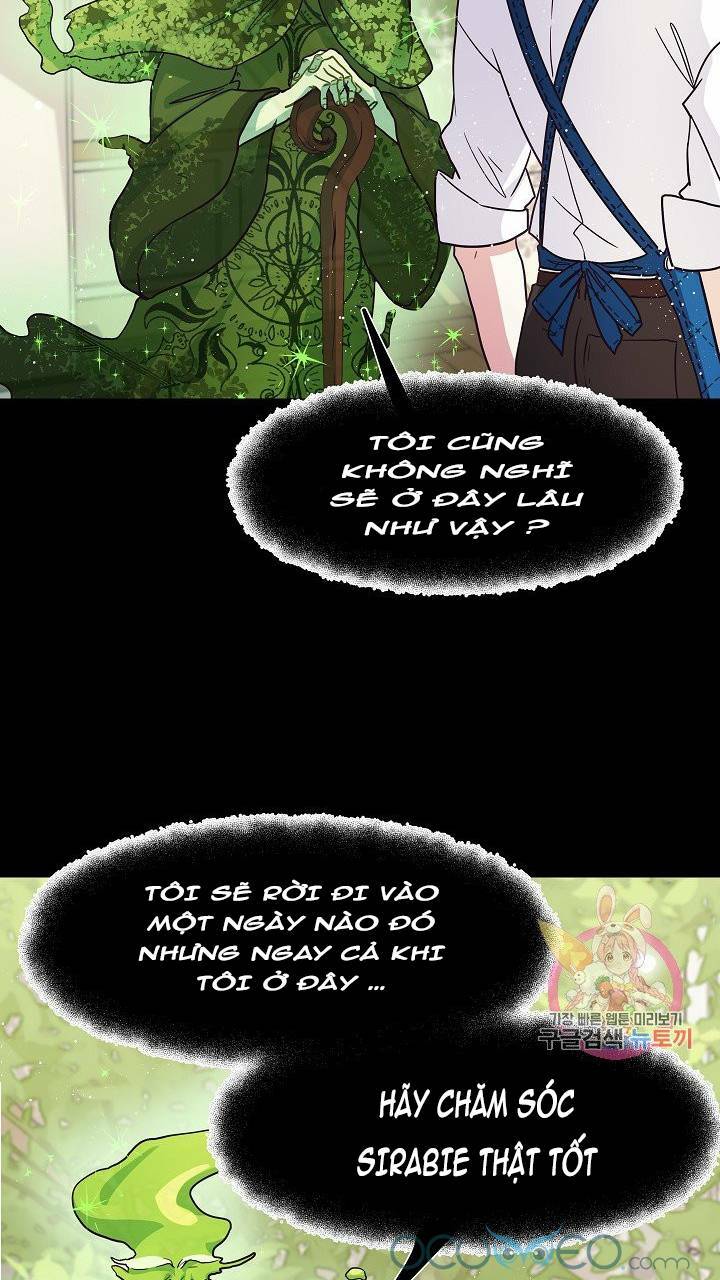 Xin Chào, Tôi Là Người Làm Vườn!: Chapter 8