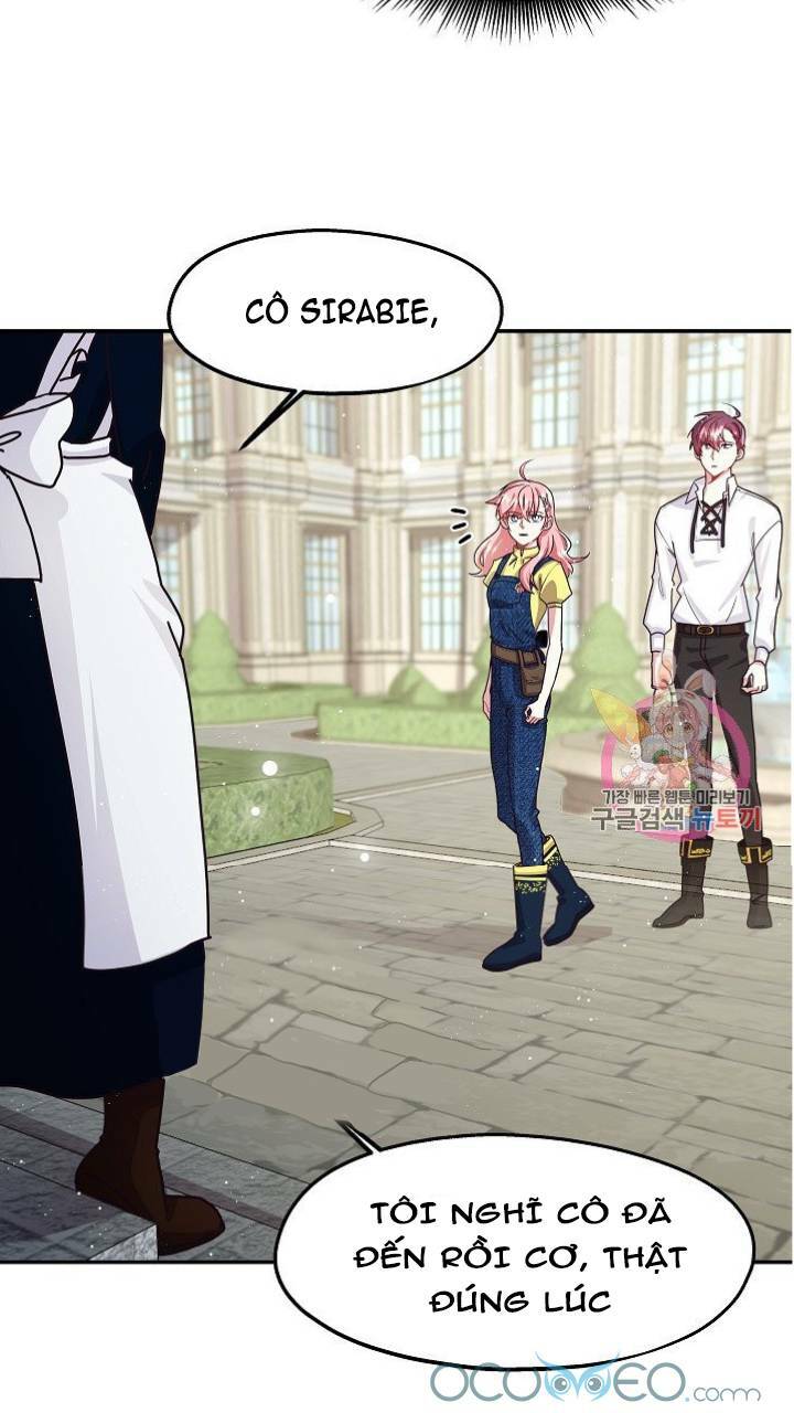 Xin Chào, Tôi Là Người Làm Vườn!: Chapter 8