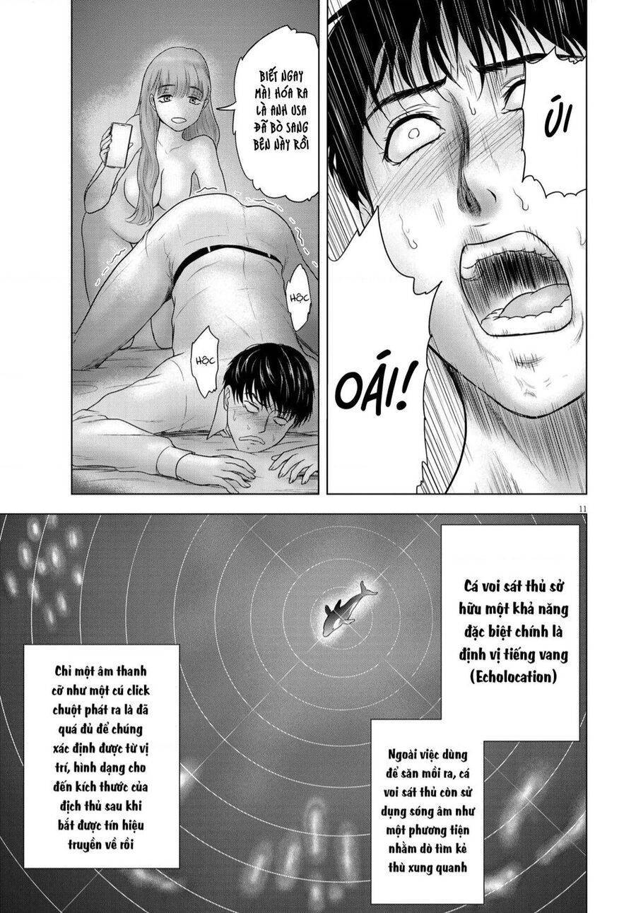 Tôi không phải miếng mồi ngon của mấy người!: Chapter 11