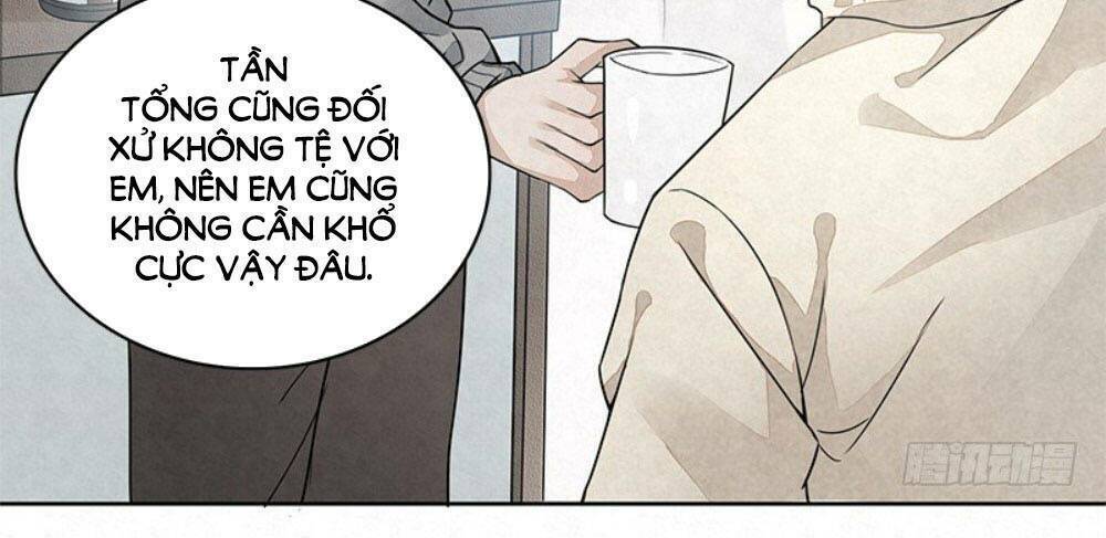 Hôn Nhân Bí Mật Của Ông Chồng Quốc Dân: Chapter 5