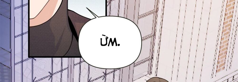 Vẫn Cứ Nhớ Em, Nhớ Em: Chapter 112