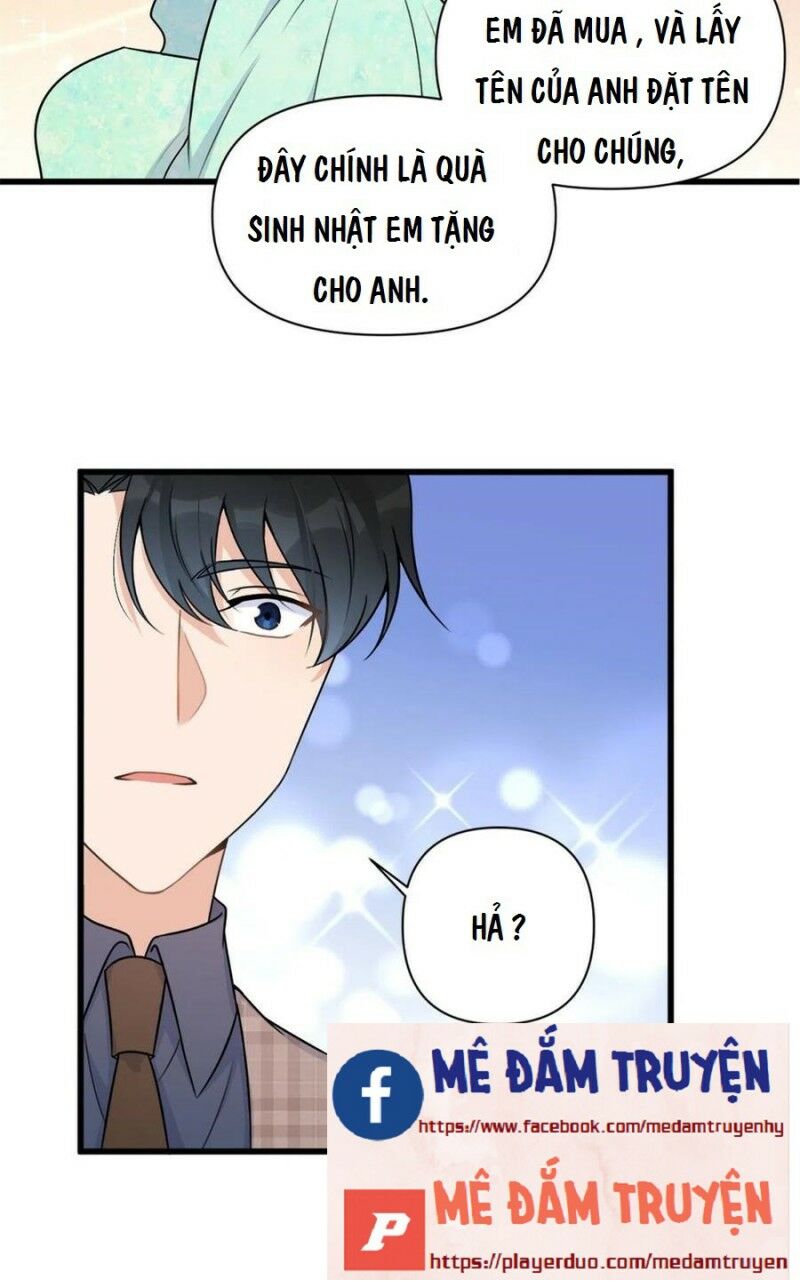 Vẫn Cứ Nhớ Em, Nhớ Em: Chapter 45