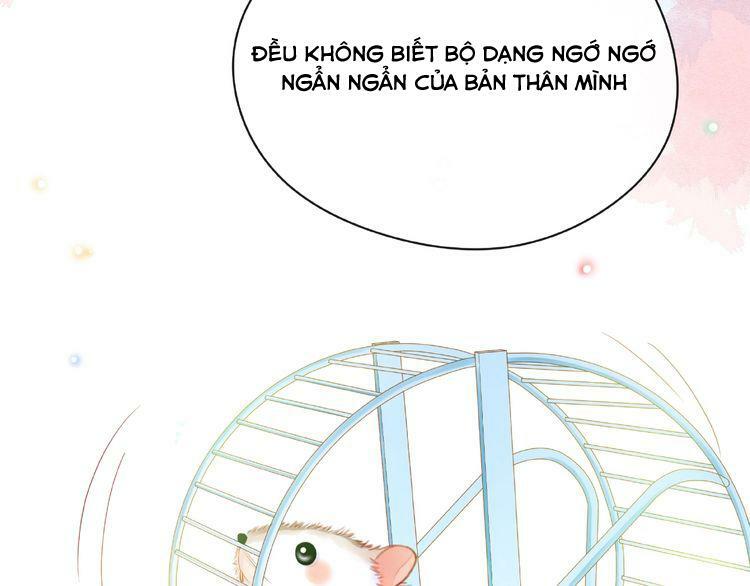 Giai Điệu Của Sự Va Chạm: Chapter 50