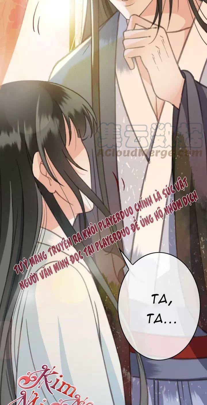 Đông Cung Giai Hạ Tù: Chapter 35