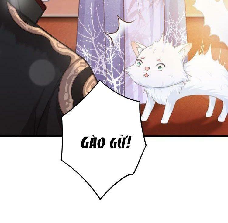 Đông Cung Giai Hạ Tù: Chapter 49