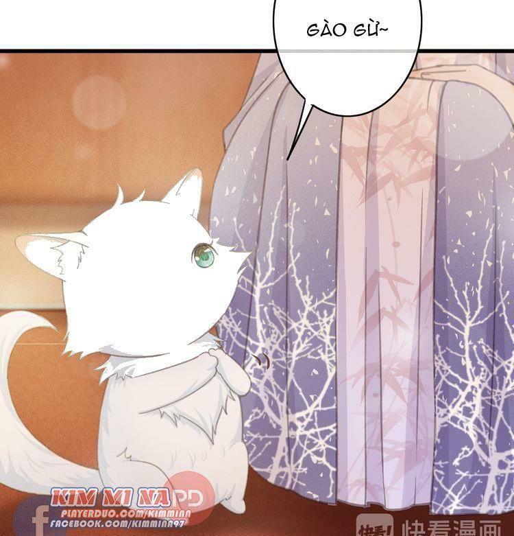 Đông Cung Giai Hạ Tù: Chapter 49