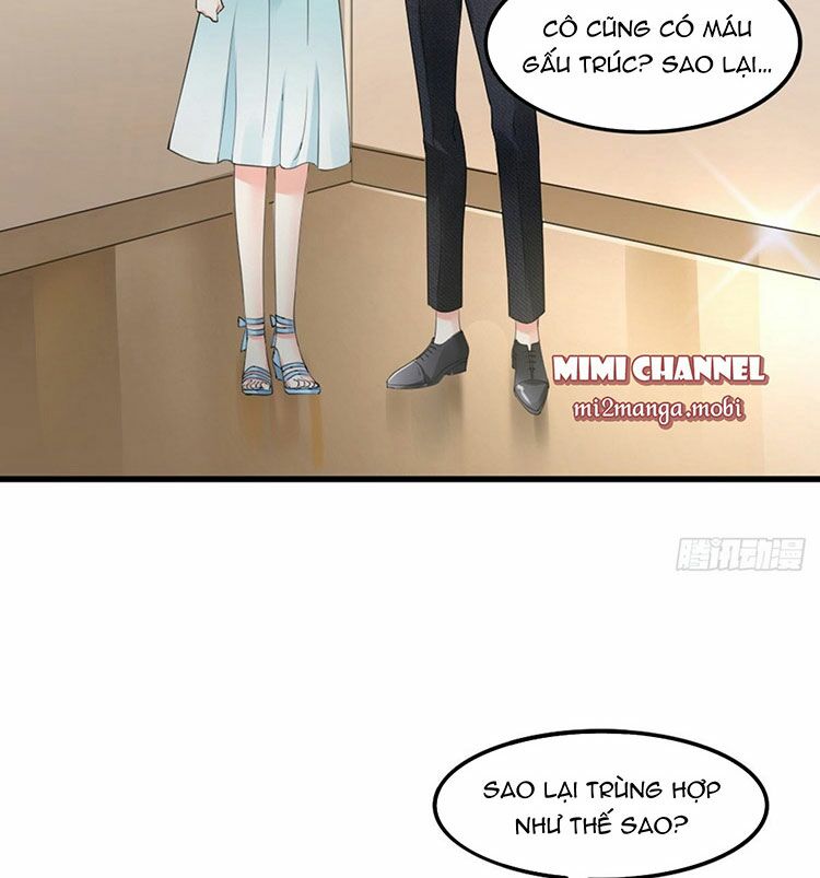 Satan Tổng Tài, Đừng Yêu Tôi: Chapter 9