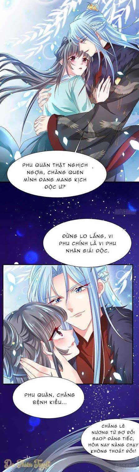 Bệnh Kiều Phu Quân Ngạnh Thượng Cung: Chapter 0